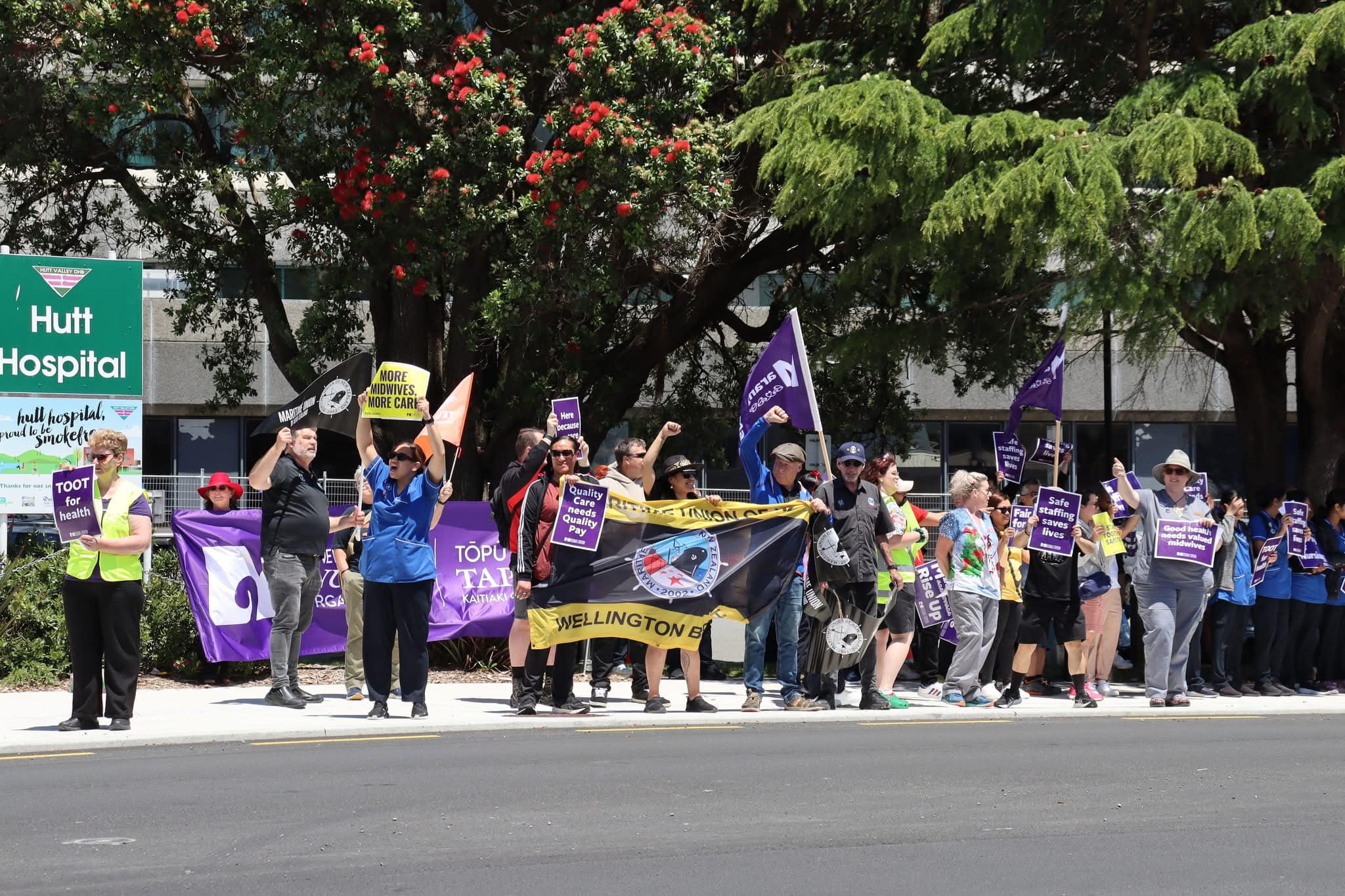 Nurses protest in Wellington, 2025